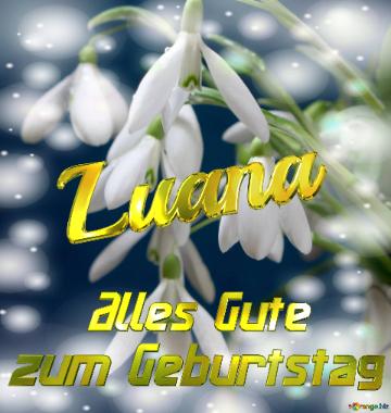 Luana Alles Gute  Zum Geburtstag Blumenstrauß Von Frühlingsblumen