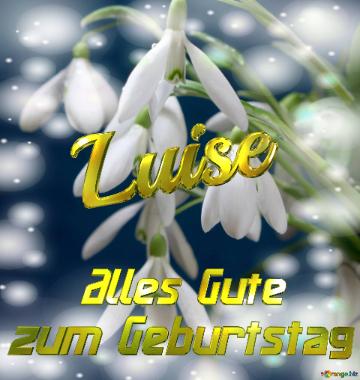 Luise Alles Gute  Zum Geburtstag Blumenstrauß Von Frühlingsblumen
