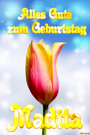 Madita Alles Gute  zum Geburtstag Blume der Tulpe