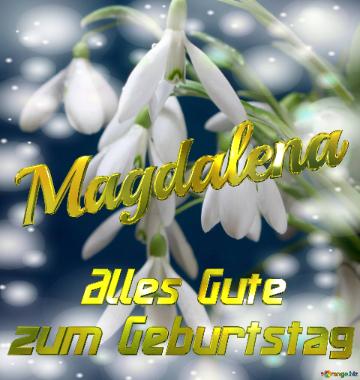 Magdalena Alles Gute  Zum Geburtstag Blumenstrauß Von Frühlingsblumen