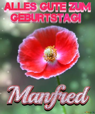Geburtstag Manfred Blue Poppy Card Background