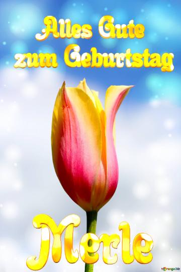 Merle Alles Gute  zum Geburtstag Blume der Tulpe