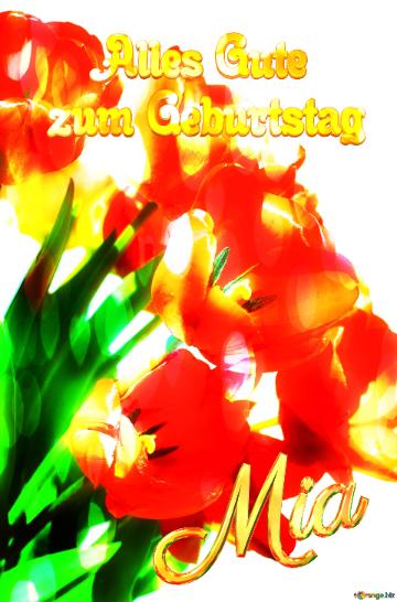 Mia Alles Gute  zum Geburtstag Bouquet of fire  tulips
