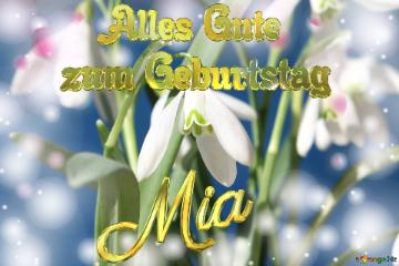 Mia Alles Gute  zum Geburtstag