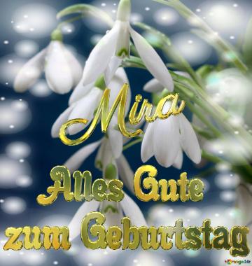 Mira Alles Gute  Zum Geburtstag Blumenstrauß Von Frühlingsblumen