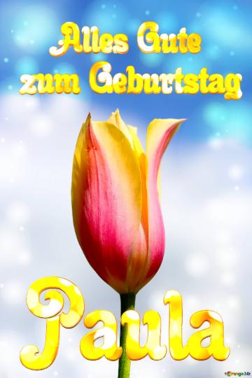 Paula Alles Gute  Zum Geburtstag Blume Der Tulpe
