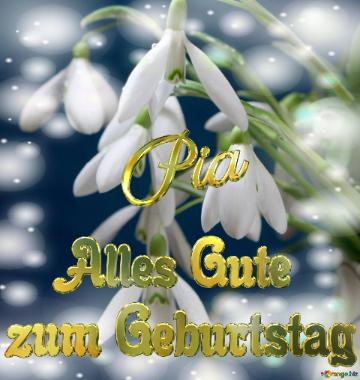 Pia Alles Gute  Zum Geburtstag Blumenstrauß Von Frühlingsblumen