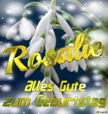 Rosalie Alles Gute  Zum Geburtstag Blumenstrauß Von Frühlingsblumen