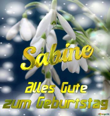 Sabine Alles Gute  Zum Geburtstag Blumenstrauß Von Frühlingsblumen
