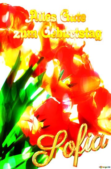 Sofia Alles Gute  zum Geburtstag Bouquet of fire  tulips