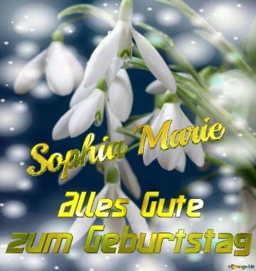 Sophia Marie Alles Gute  Zum Geburtstag Blumenstrauß Von Frühlingsblumen