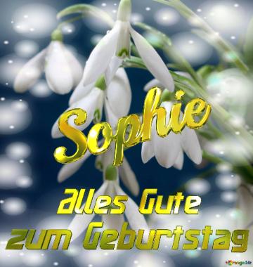 Sophie Alles Gute  Zum Geburtstag Blumenstrauß Von Frühlingsblumen