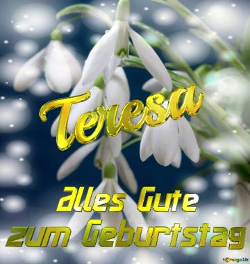 Teresa Alles Gute  Zum Geburtstag Blumenstrauß Von Frühlingsblumen