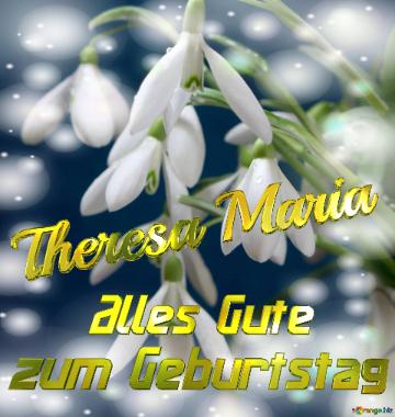 Theresa Maria Alles Gute  Zum Geburtstag Blumenstrauß Von Frühlingsblumen