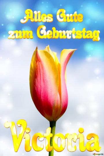 Victoria Alles Gute  Zum Geburtstag Blume Der Tulpe