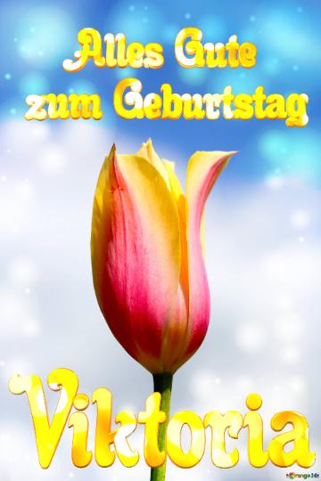 Viktoria Alles Gute  Zum Geburtstag Blume Der Tulpe