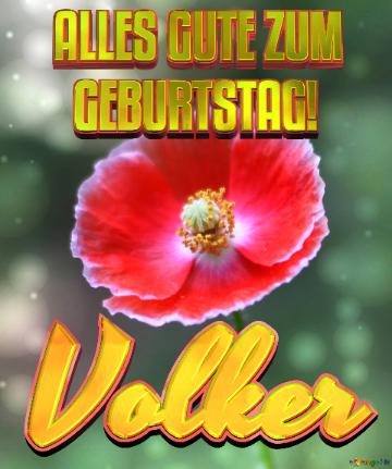 Geburtstag Volker Blue Poppy Card Background
