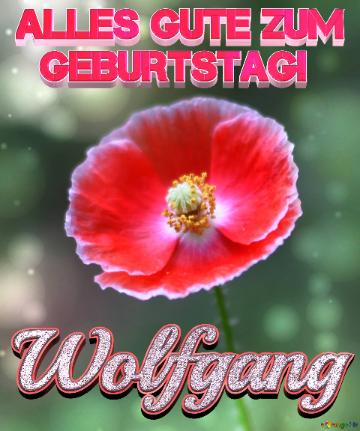 Geburtstag Wolfgang Blue Poppy Card Background