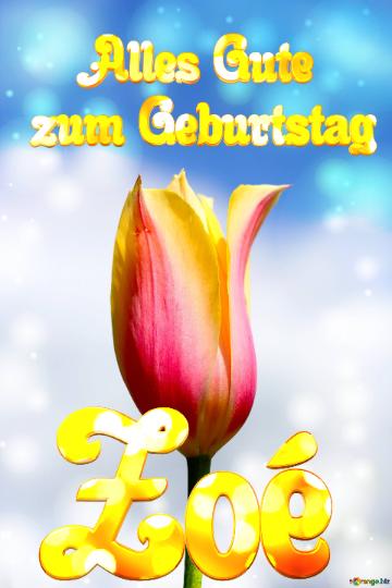 Zoé Alles Gute  Zum Geburtstag Blume Der Tulpe