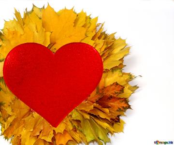 Autumn wreath with Red heart