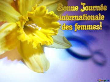 Bonne Journée  Internationale   Des Femmes!  Narcissus On March 8 Greetings