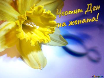 Честит Ден  на жената!  Narcissus On March 8 Greetings