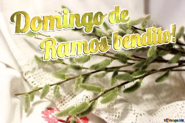 Domingo De Ramos Bendito! Pussy-willow