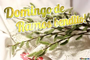 Domingo de Ramos bendito!