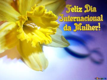    Feliz Dia Internacional   Da Mulher!  Narcissus On March 8 Greetings