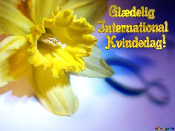    Glædelig International   Kvindedag!  Narcissus On March 8 Greetings