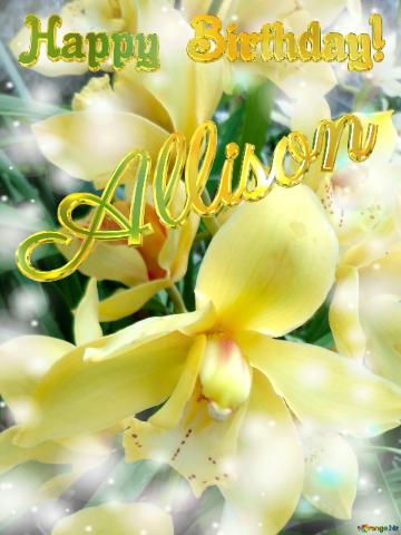 Allison Happy Birthday! Yellow Orchid background