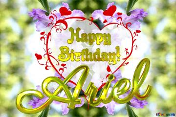 Images Happy Birthday! Ariel The Best Image. Images For Cards The Flower Gladiolus.