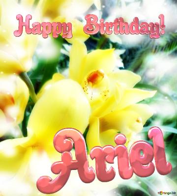 Yellow Flower Ariel Happy Birthday! Yellow Orchid Flower