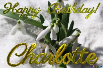 Happy  Birthday! Charlotte   Background of early spring