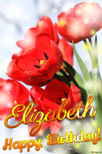 Happy  Birthday! Elizabeth   red tulips Background