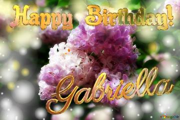 Happy Birthday! Gabriella Lilac Light Lilac Background