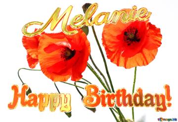 Poppies Flowers Happy Birthday! Melanie Bouquet of poppies without background
