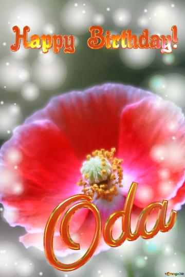 Oda Happy Birthday! Poppy Background