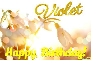 Violet Happy Birthday! Spring Background