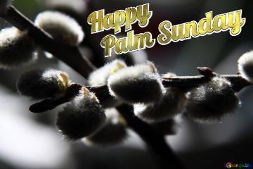 Dark background Happy   Palm Sunday
