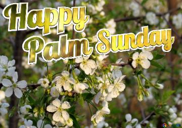 Happy    Palm Sunday 