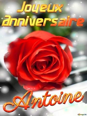 Antoine Joyeux  Anniversaire Fond De Carte De Musique Fleur Rose