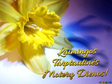       Laimingos      Tarptautinės  Moterų Dienos!  Narcissus On March 8 Greetings