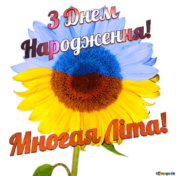 Многая Літа З Днем  Народження! Сонях. Ukrainian Sunflower