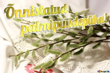 õnnistatud Palmipuudepüha! Pussy-willow