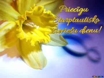    Priecīgu  Starptautisko  Sieviešu Dienu!  Narcissus On March 8 Greetings