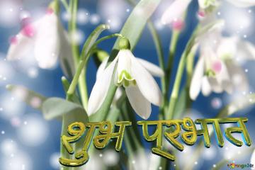 शुभ प्रभात  Flowers  Spring Background