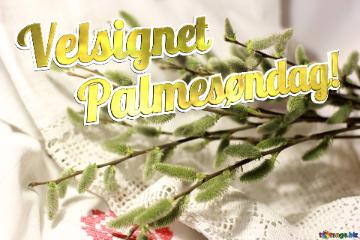 Velsignet Palmesøndag! Pussy-willow