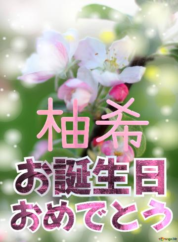 お誕生日 おめでとう 柚希  Flowers Of The Apple-tree Background