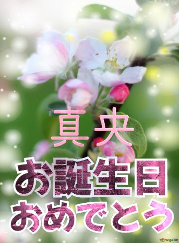 お誕生日 おめでとう 真央  Flowers of the Apple-tree background